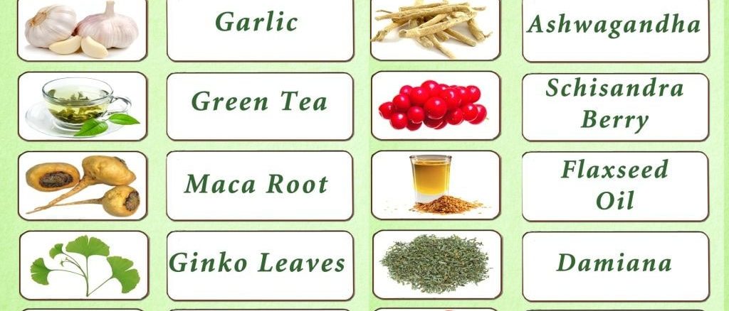 Ayurvedic Home Remedies For Male Infertility Dr Chanchal Sharma