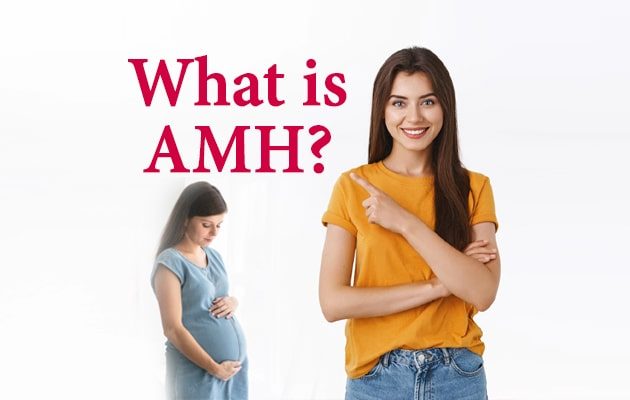 What is AMH? How to Naturally increase AMH Level