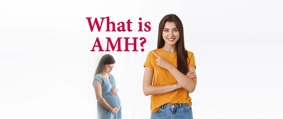 What is AMH? How to Naturally increase AMH Level