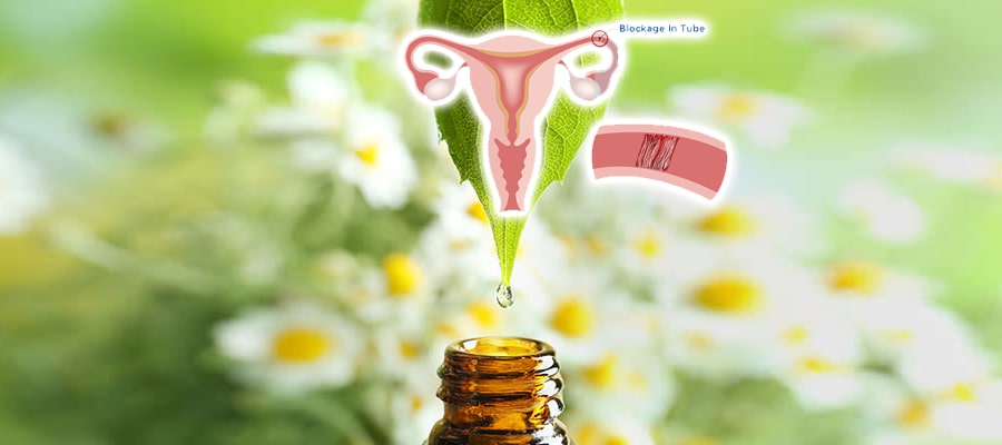 Natural Treatment for Fallopian Tubes Opening