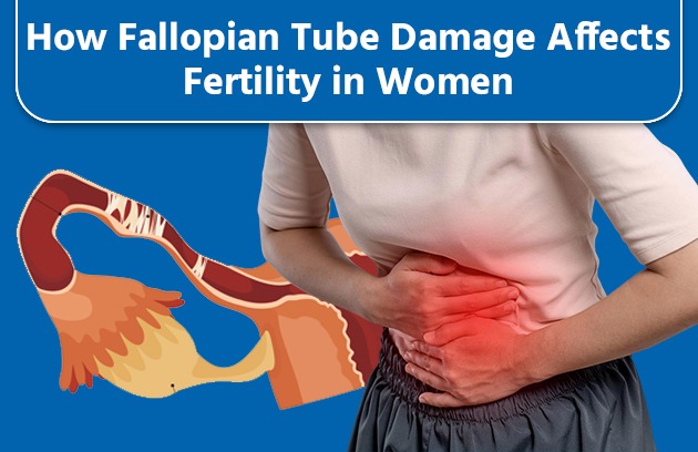 How Tubal Damage Affects Fertility: Causes & Treatment Options