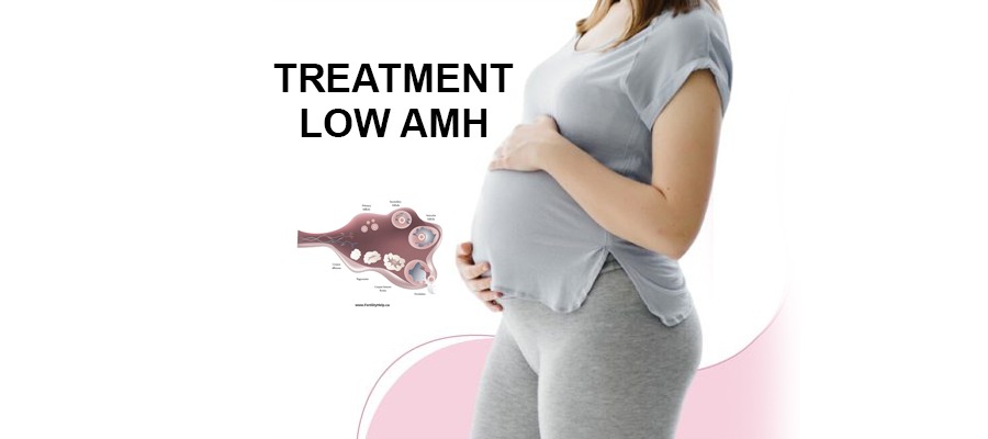 Low AMH levels – Causes, Symptoms & Treatment