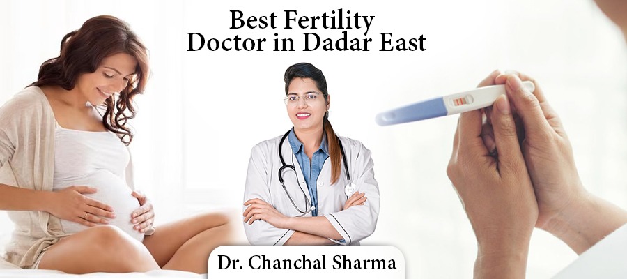Fertility Doctor in Dadar East