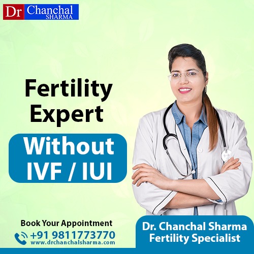 fertility expert doctor in pune maharashtra