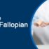 What Are Blocked Fallopian Tubes?