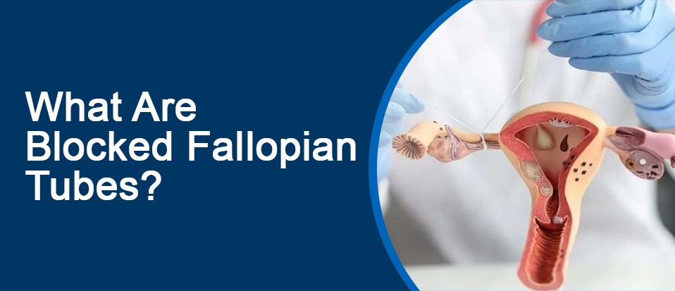 What Are Blocked Fallopian Tubes?