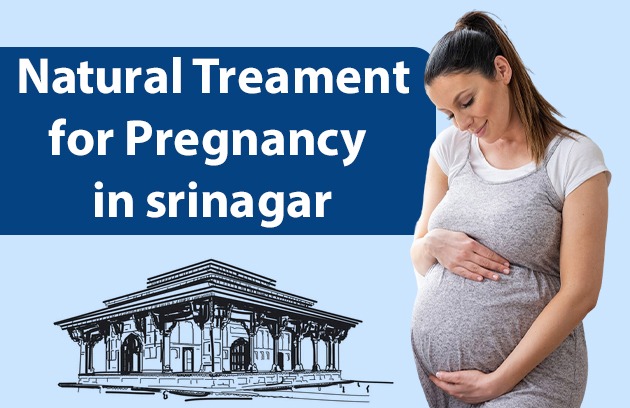 Natural Treatment for Pregnancy in Srinagar