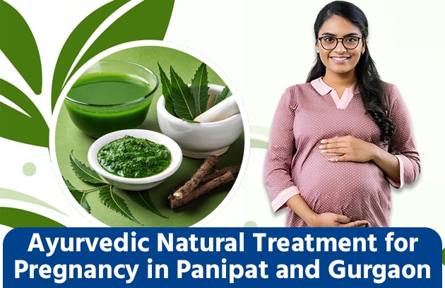 Natural Treatment for Pregnancy in Panipat and Gurgaon