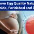 Improve Egg Quality Naturally in Noida, Faridabad and Delhi