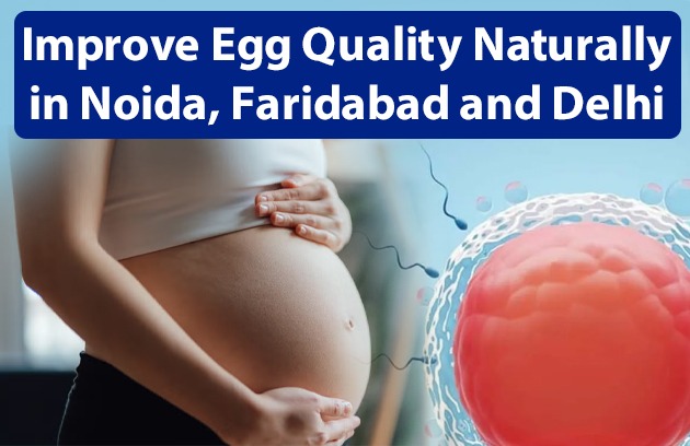 Improve Egg Quality Naturally in Noida, Faridabad and Delhi