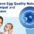 Improve Egg Quality Naturally in Panipat and Gurgaon