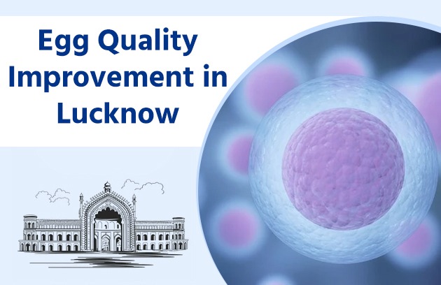 Egg Quality Improvement in Lucknow