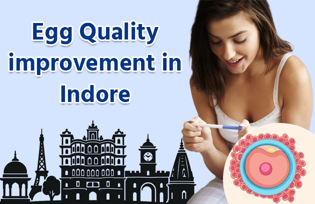 Egg Quality Improvement in Indore 