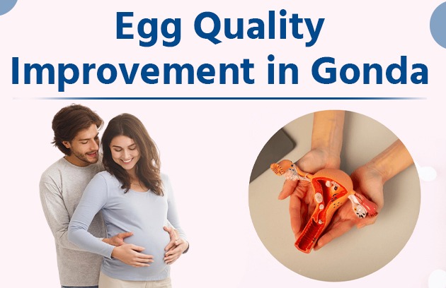 Egg Quality Improvement in Gonda