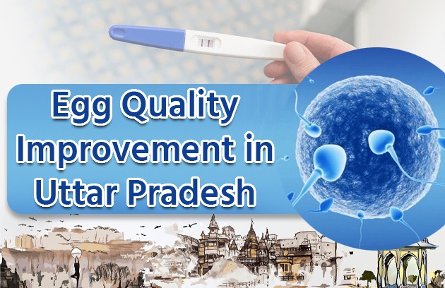 Egg Quality Improvement in Uttar Pradesh