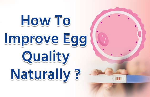 How To Improve Egg Quality Naturally : 7 Essential Tips for Fertility