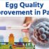 Egg Quality Improvement in Patna