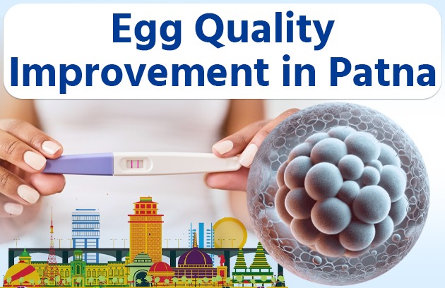 Egg Quality Improvement in Patna