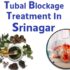 Tubal Blockage Treatment in Srinagar