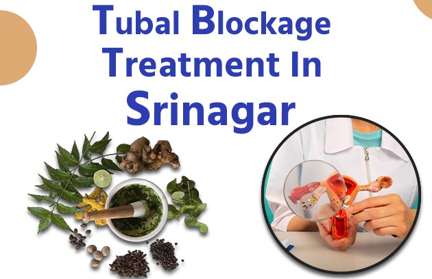 Tubal Blockage Treatment in Srinagar