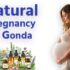 Ayurvedic Natural Pregnancy Solutions in Gonda for Couples