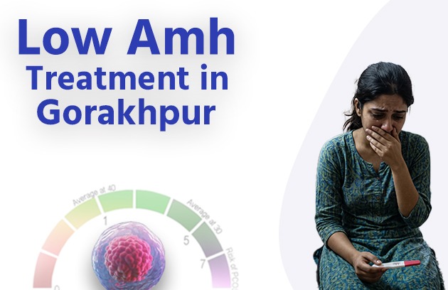 Low AMH Treatment in Gorakhpur