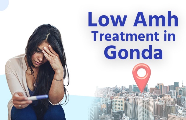 Low AMH Treatment in Gonda