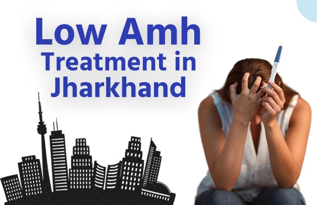 Low AMH Treatment in Jharkhand