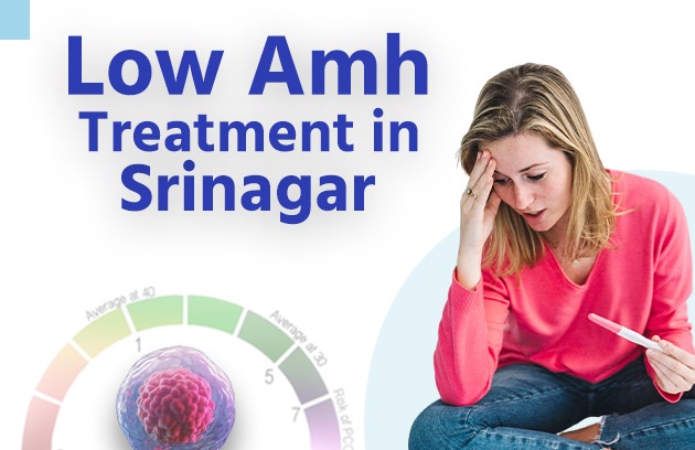 Low AMH Treatment in Srinagar
