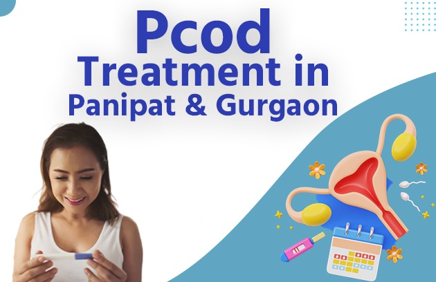 PCOD Treatment in Panipat and Gurgaon