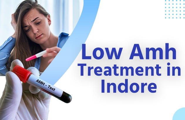 Low AMH Treatment in Indore