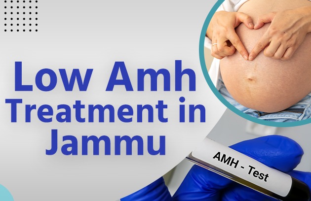 Low AMH Treatment in Jammu