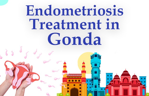 Endometriosis Treatment in Gonda 