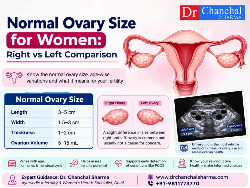 Normal Ovary Sizes in Women: Right vs Left