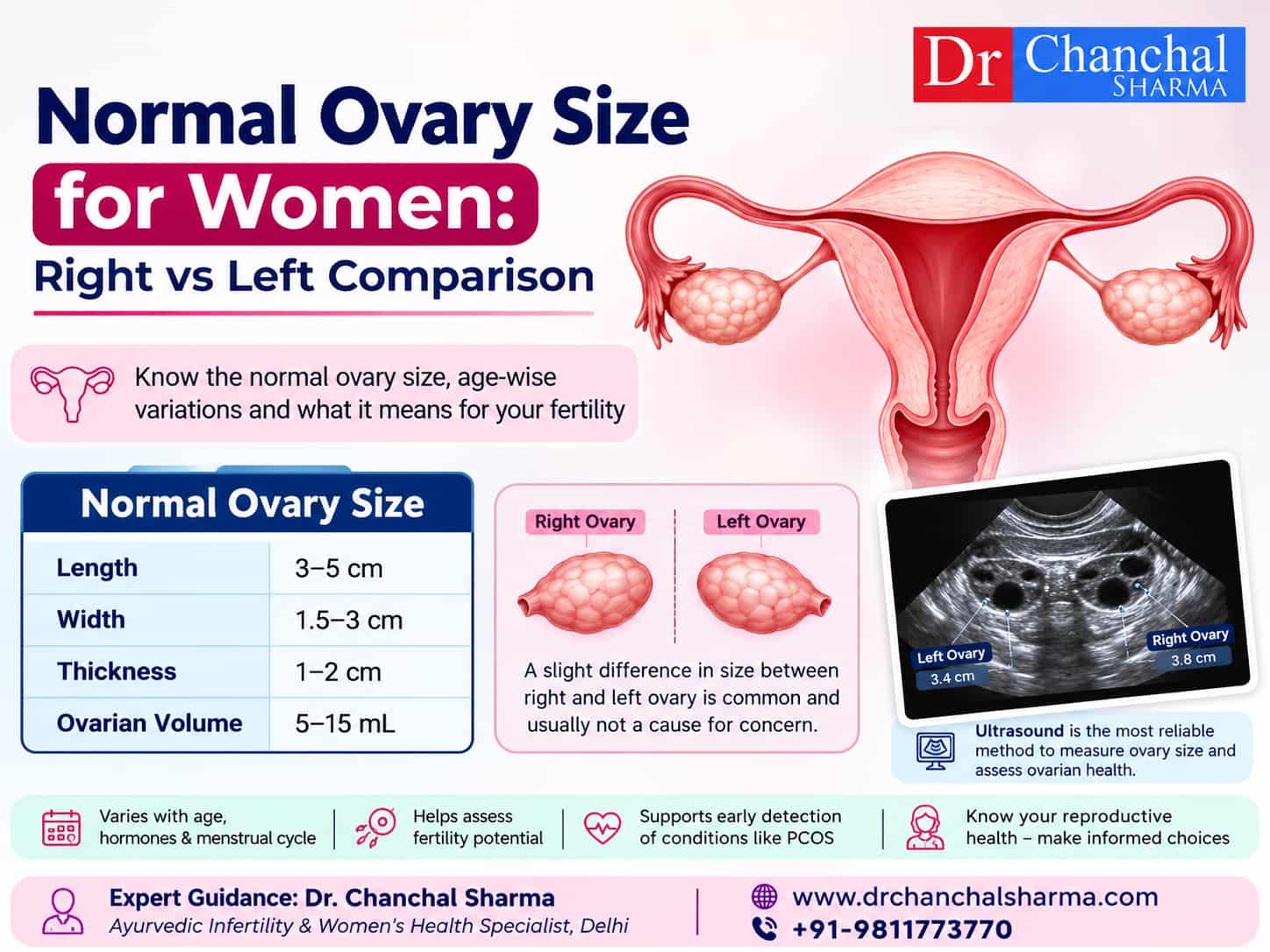 Normal Ovary Sizes for Women- Dr. Chanchal Sharma